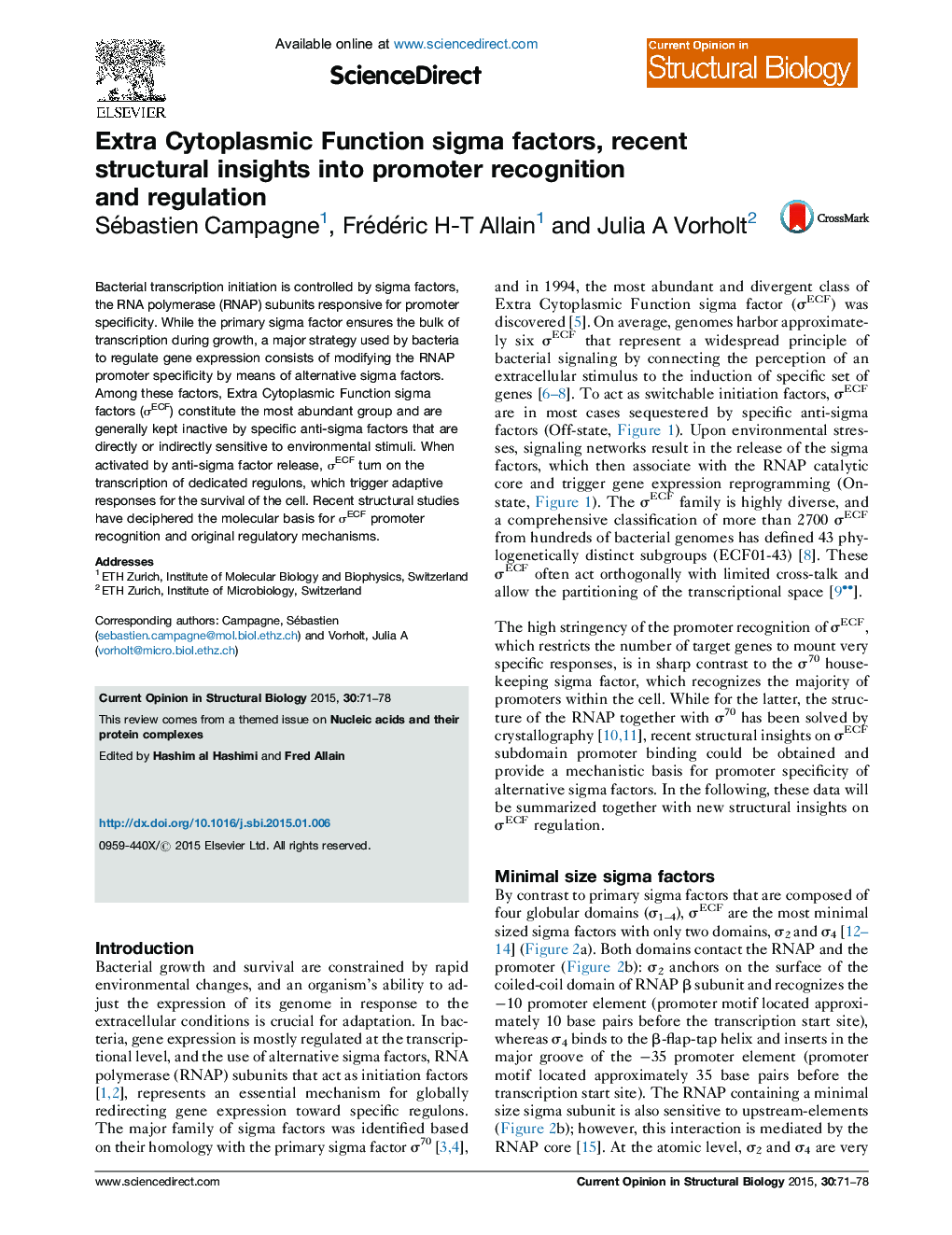 Extra Cytoplasmic Function sigma factors, recent structural insights into promoter recognition and regulation