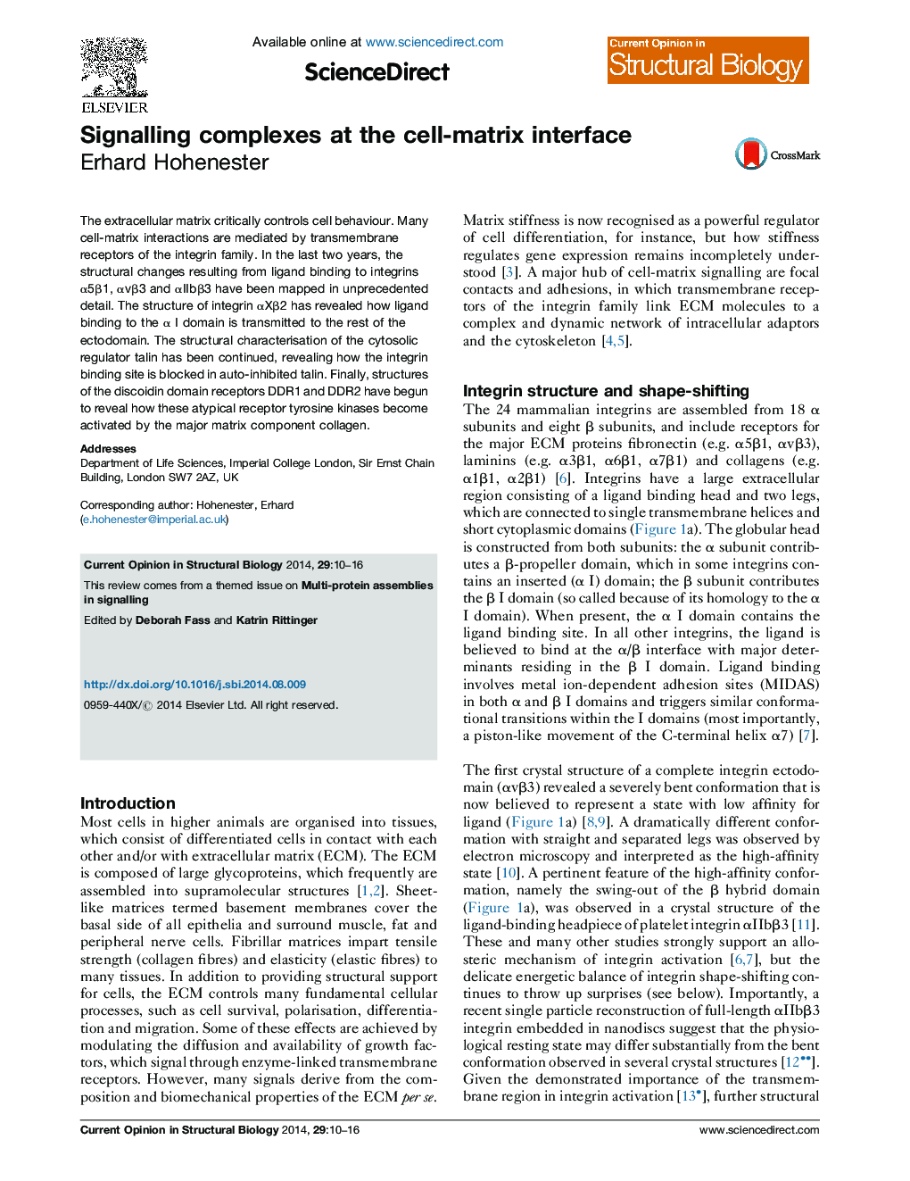 Signalling complexes at the cell-matrix interface