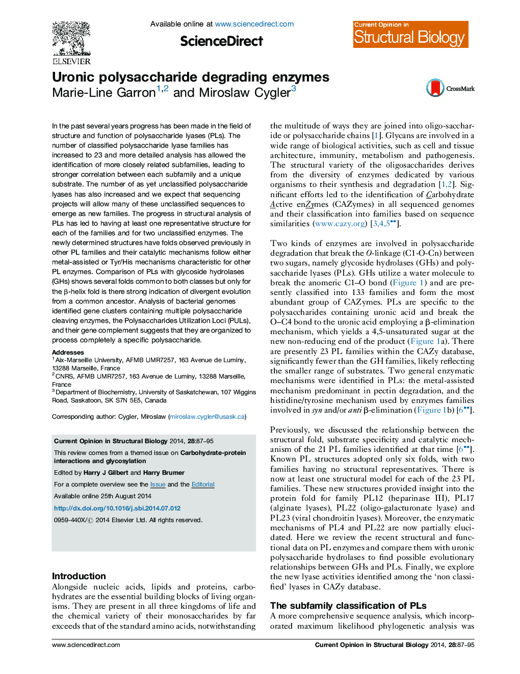 Uronic polysaccharide degrading enzymes