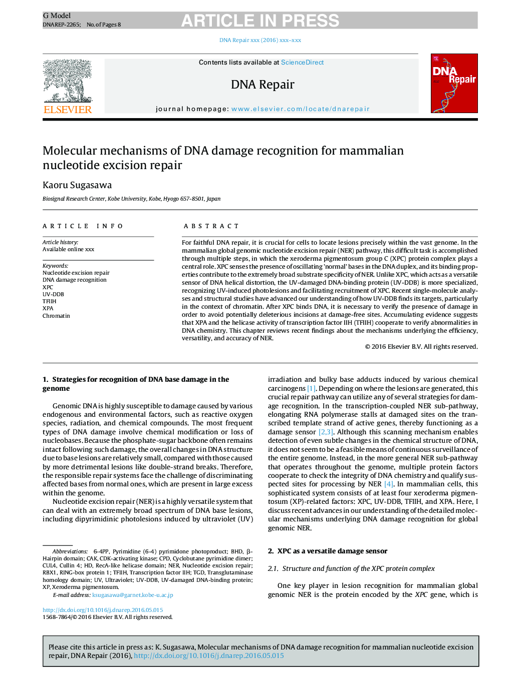 Molecular mechanisms of DNA damage recognition for mammalian nucleotide excision repair