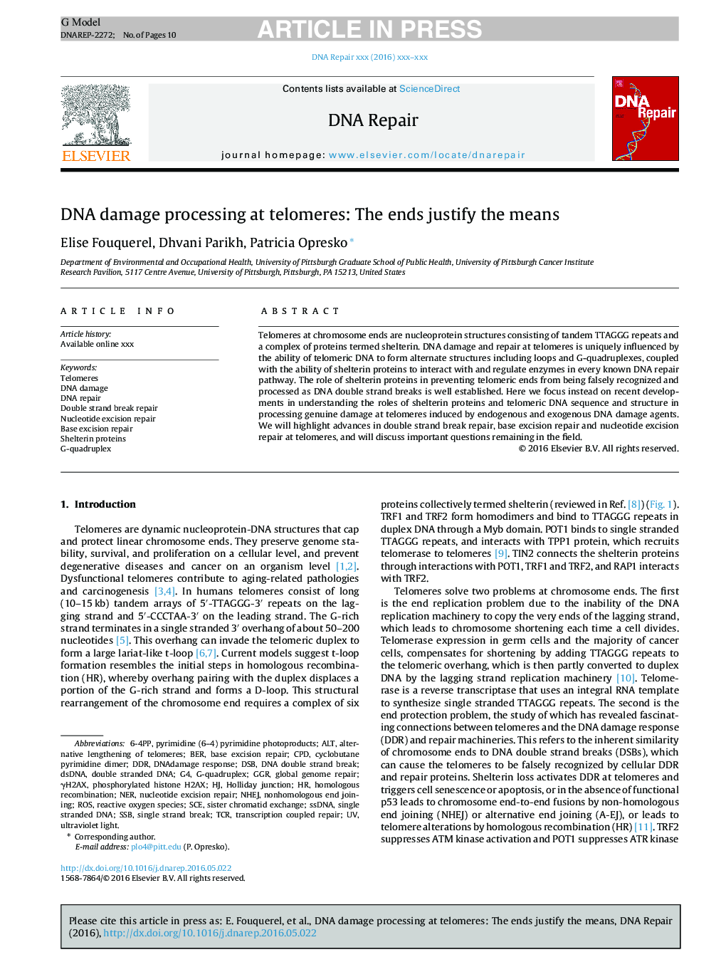 DNA damage processing at telomeres: The ends justify the means