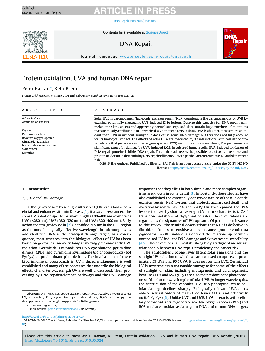 Protein oxidation, UVA and human DNA repair