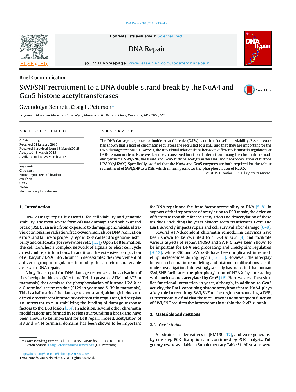 SWI/SNF recruitment to a DNA double-strand break by the NuA4 and Gcn5 histone acetyltransferases