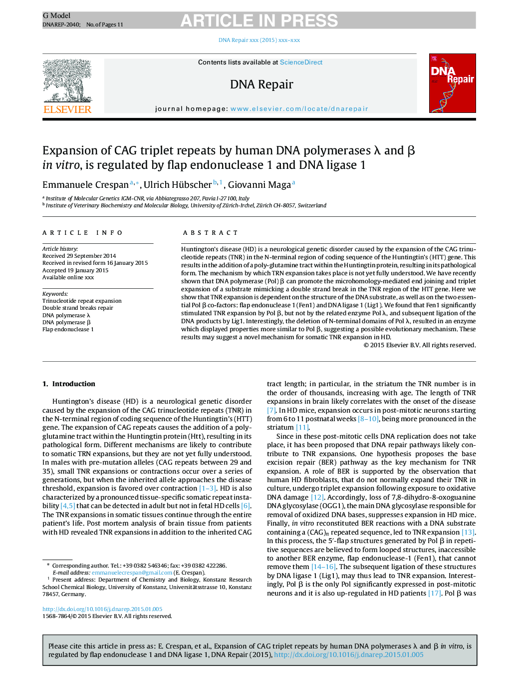 Expansion of CAG triplet repeats by human DNA polymerases Î» and Î² in vitro, is regulated by flap endonuclease 1 and DNA ligase 1