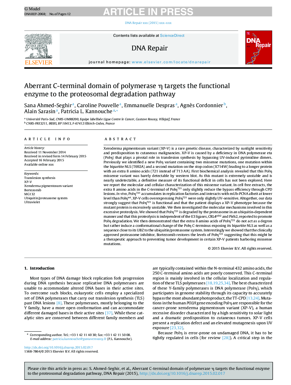 Aberrant C-terminal domain of polymerase Î· targets the functional enzyme to the proteosomal degradation pathway