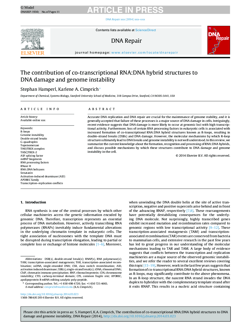 The contribution of co-transcriptional RNA:DNA hybrid structures to DNA damage and genome instability