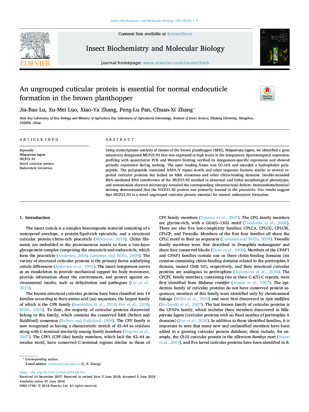 An ungrouped cuticular protein is essential for normal endocuticle formation in the brown planthopper