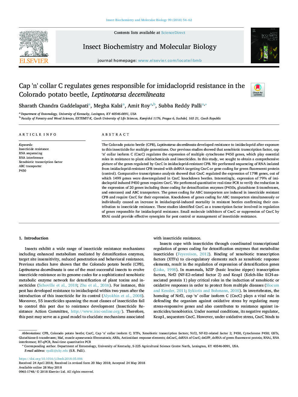 Cap 'n' collar C regulates genes responsible for imidacloprid resistance in the Colorado potato beetle, Leptinotarsa decemlineata