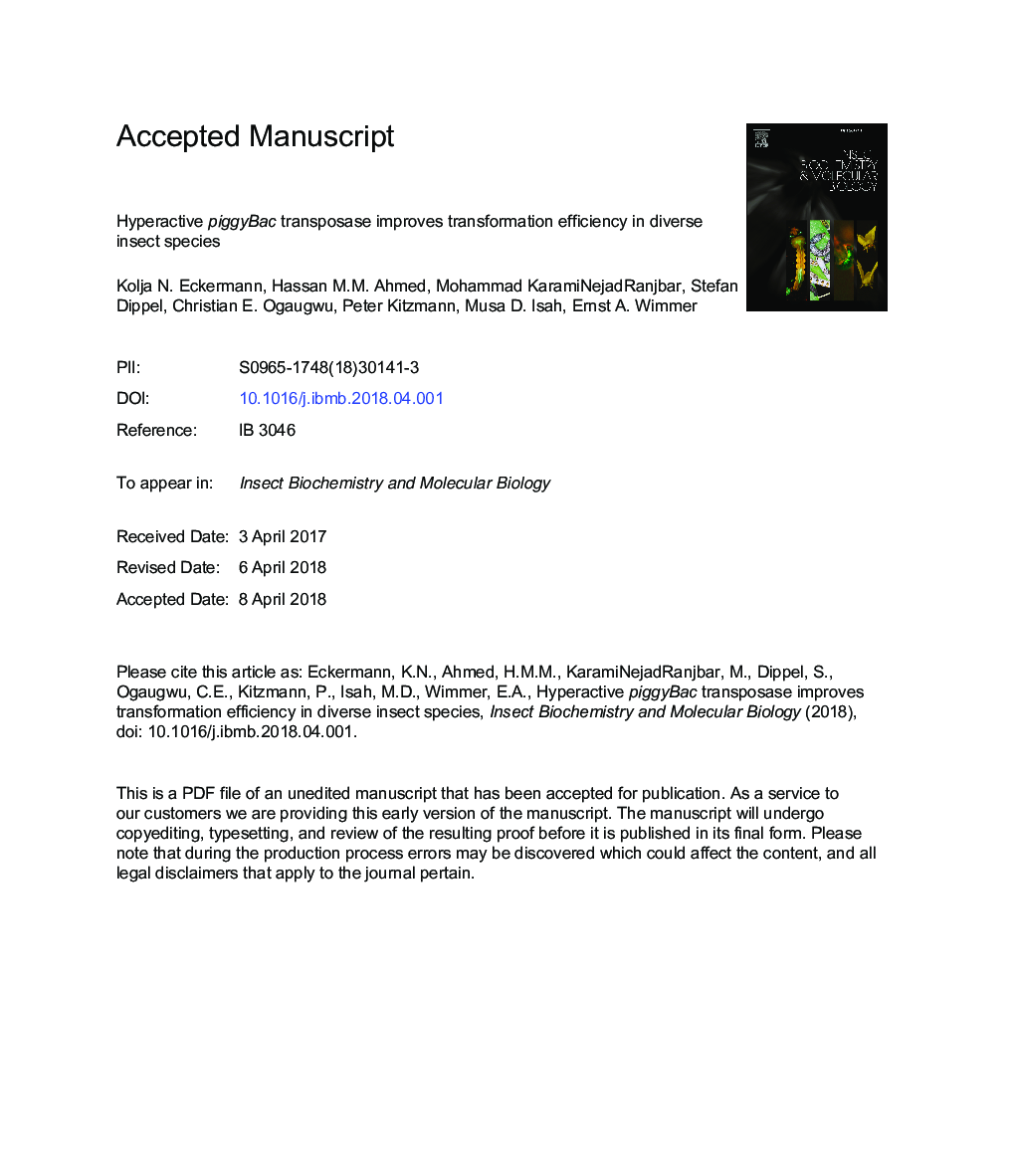 Hyperactive piggyBac transposase improves transformation efficiency in diverse insect species