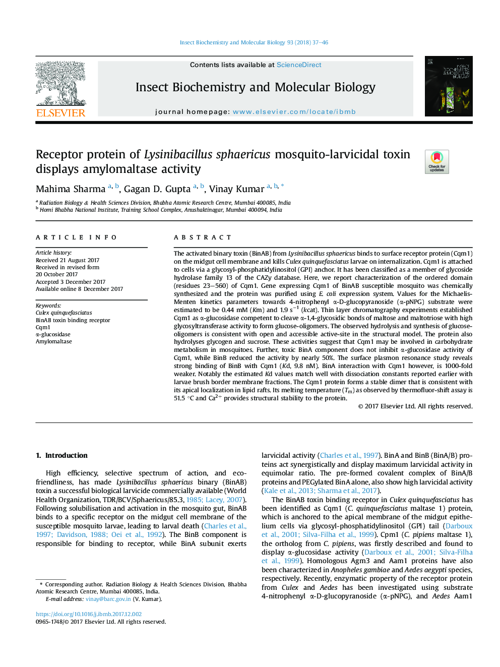 Receptor protein of Lysinibacillus sphaericus mosquito-larvicidal toxin displays amylomaltase activity