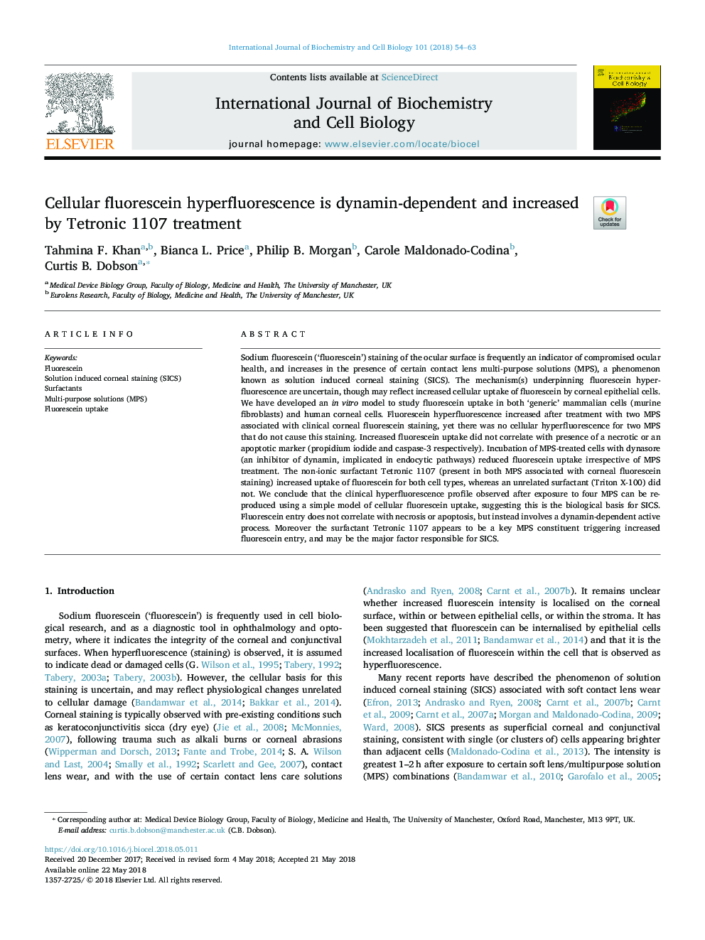 Cellular fluorescein hyperfluorescence is dynamin-dependent and increased by Tetronic 1107 treatment