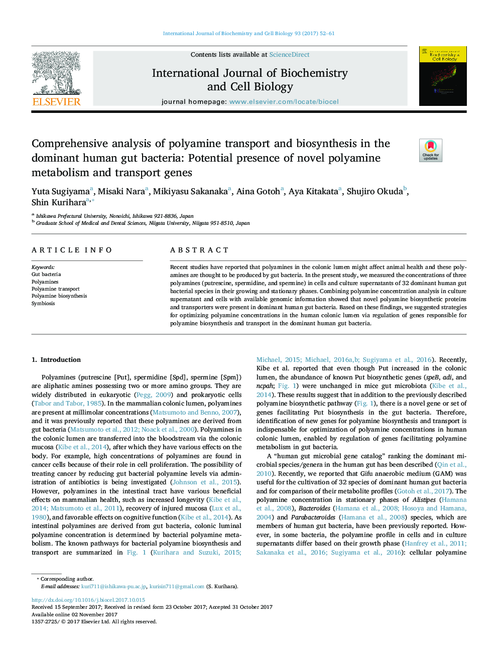 Comprehensive analysis of polyamine transport and biosynthesis in the dominant human gut bacteria: Potential presence of novel polyamine metabolism and transport genes