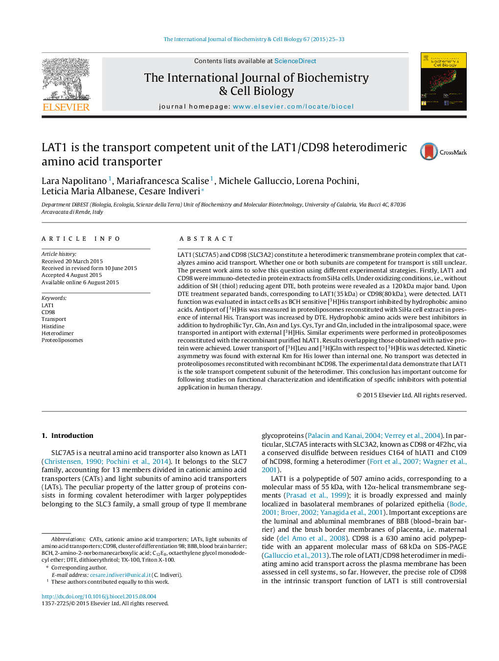 LAT1 is the transport competent unit of the LAT1/CD98 heterodimeric amino acid transporter