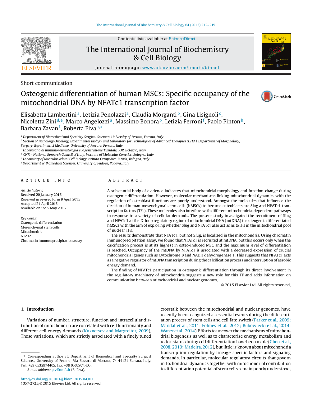 Osteogenic differentiation of human MSCs: Specific occupancy of the mitochondrial DNA by NFATc1 transcription factor