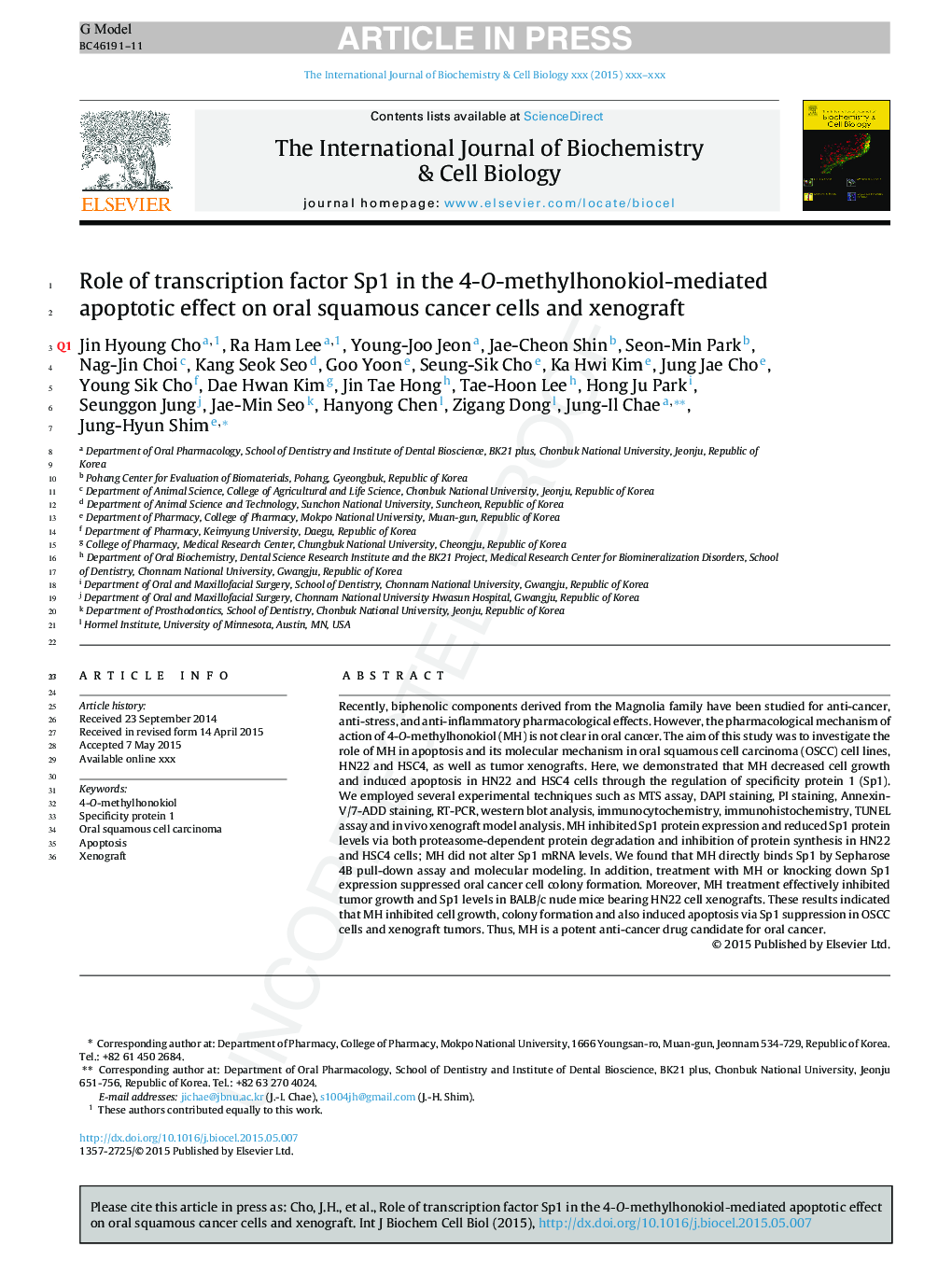 Role of transcription factor Sp1 in the 4-O-methylhonokiol-mediated apoptotic effect on oral squamous cancer cells and xenograft