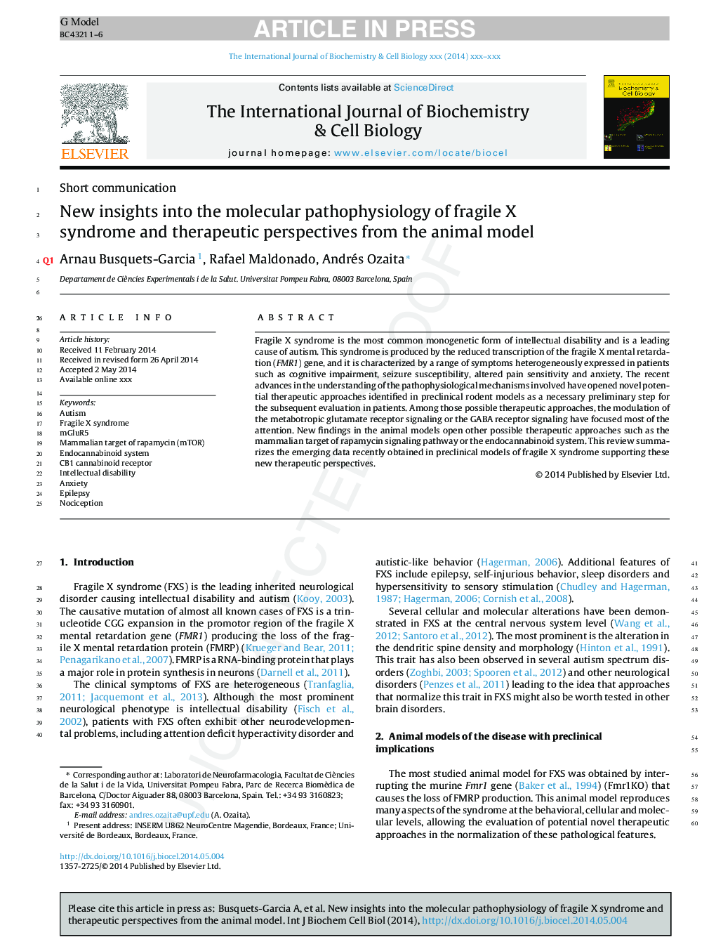 New insights into the molecular pathophysiology of fragile X syndrome and therapeutic perspectives from the animal model