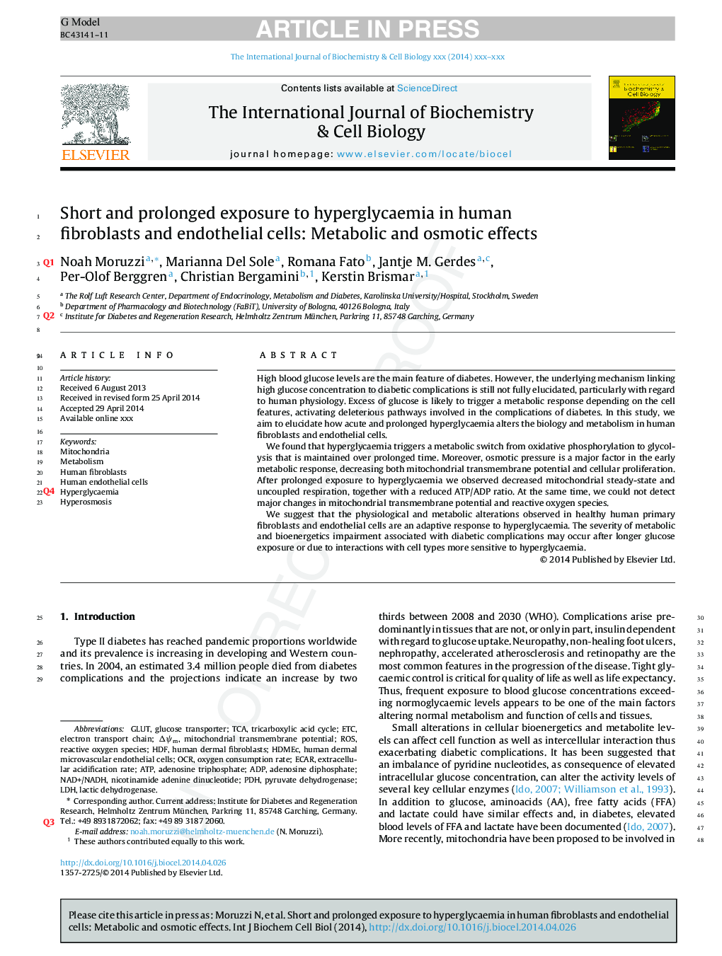 Short and prolonged exposure to hyperglycaemia in human fibroblasts and endothelial cells: Metabolic and osmotic effects