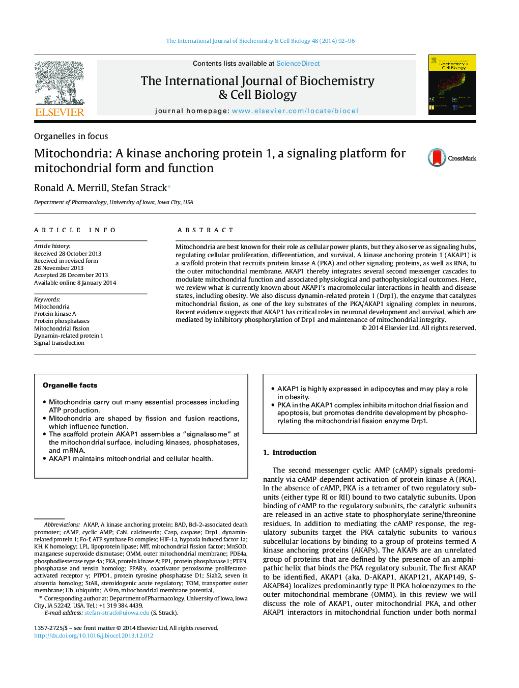 Mitochondria: A kinase anchoring protein 1, a signaling platform for mitochondrial form and function