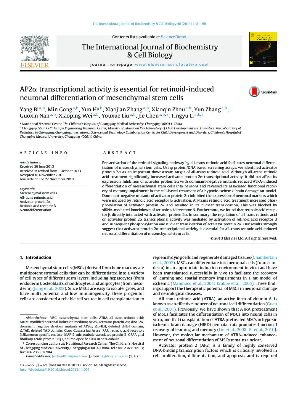 AP2Î± transcriptional activity is essential for retinoid-induced neuronal differentiation of mesenchymal stem cells