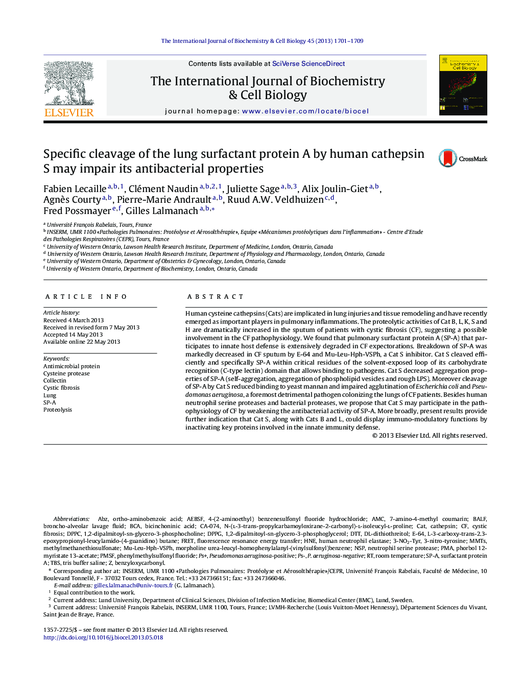 Specific cleavage of the lung surfactant protein A by human cathepsin S may impair its antibacterial properties