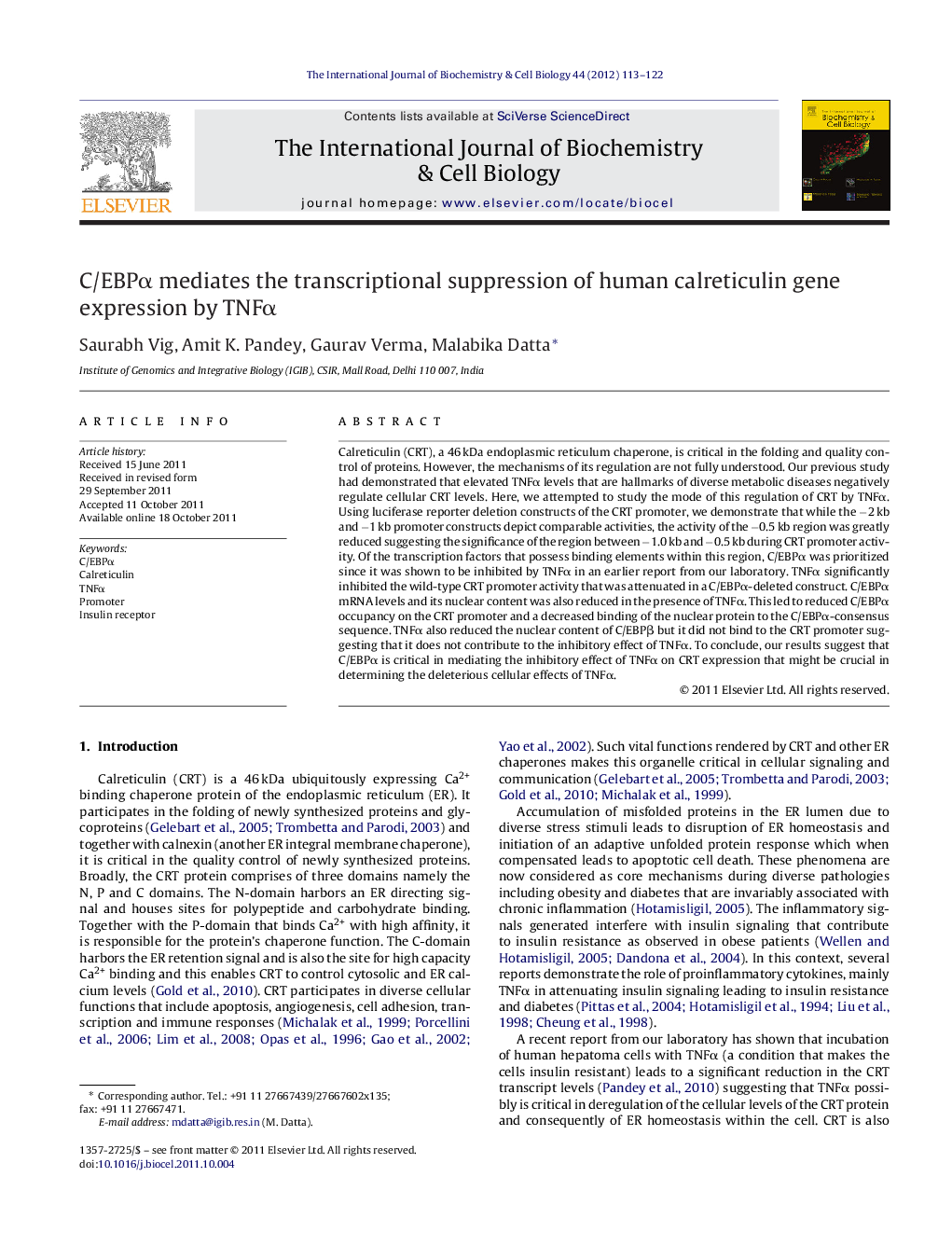 C/EBPÎ± mediates the transcriptional suppression of human calreticulin gene expression by TNFÎ±