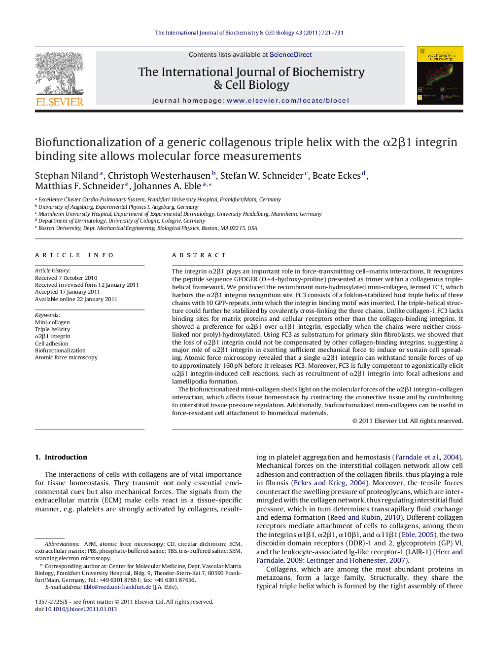 Biofunctionalization of a generic collagenous triple helix with the Î±2Î²1 integrin binding site allows molecular force measurements