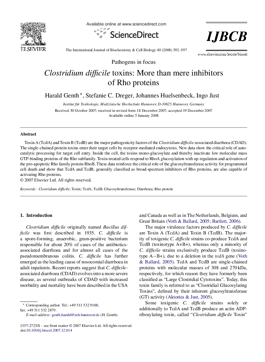 Clostridium difficile toxins: More than mere inhibitors of Rho proteins