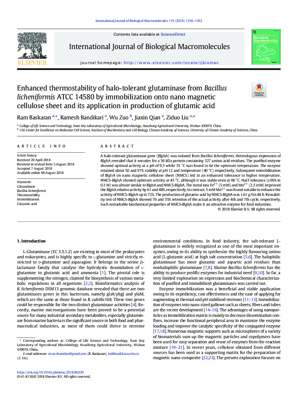 Enhanced thermostability of halo-tolerant glutaminase from Bacillus licheniformis ATCC 14580 by immobilization onto nano magnetic cellulose sheet and its application in production of glutamic acid