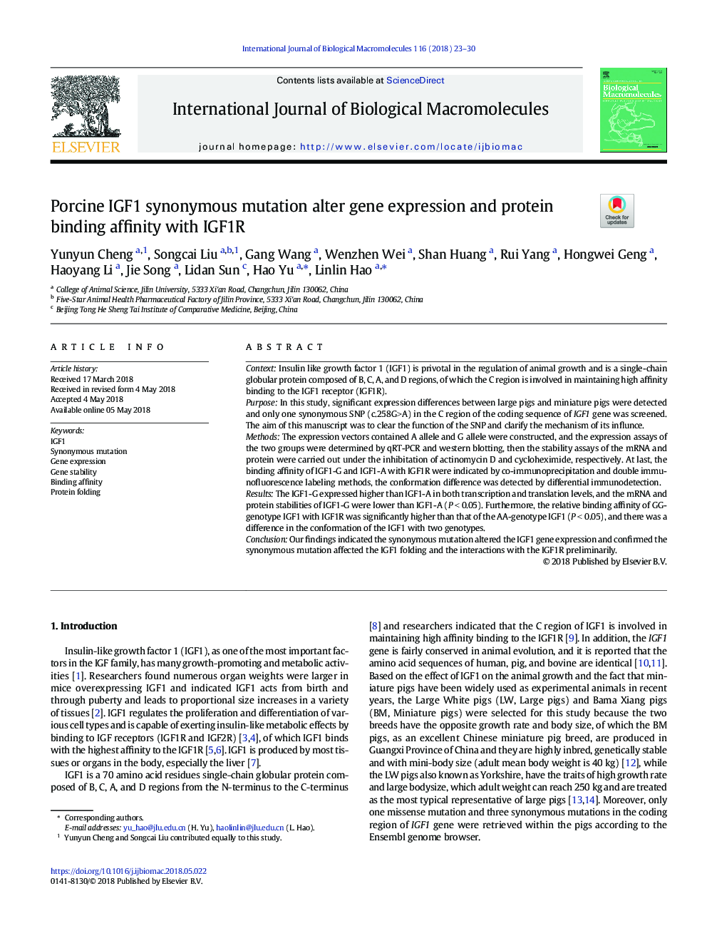 Porcine IGF1 synonymous mutation alter gene expression and protein binding affinity with IGF1R