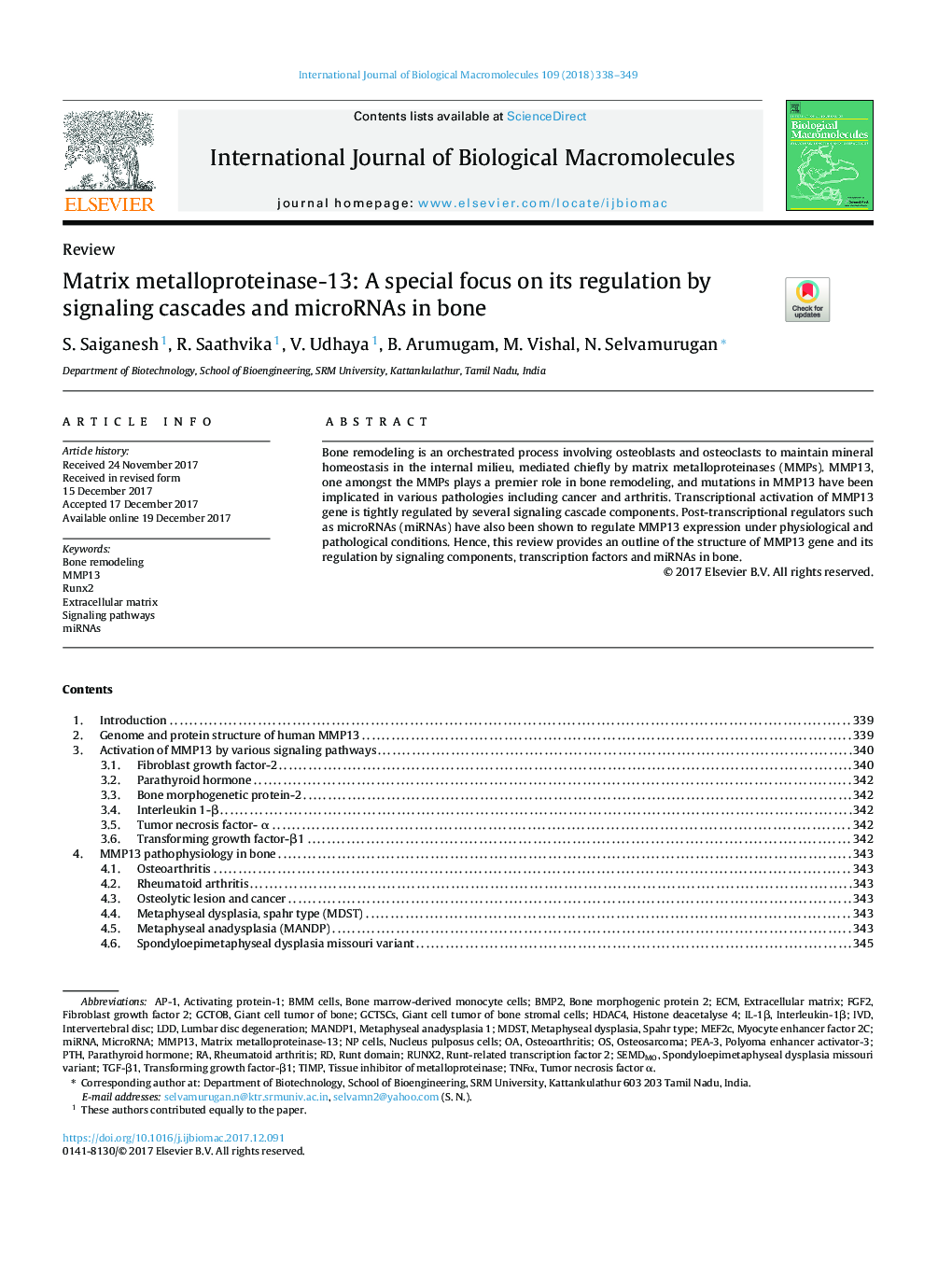 Matrix metalloproteinase-13: A special focus on its regulation by signaling cascades and microRNAs in bone