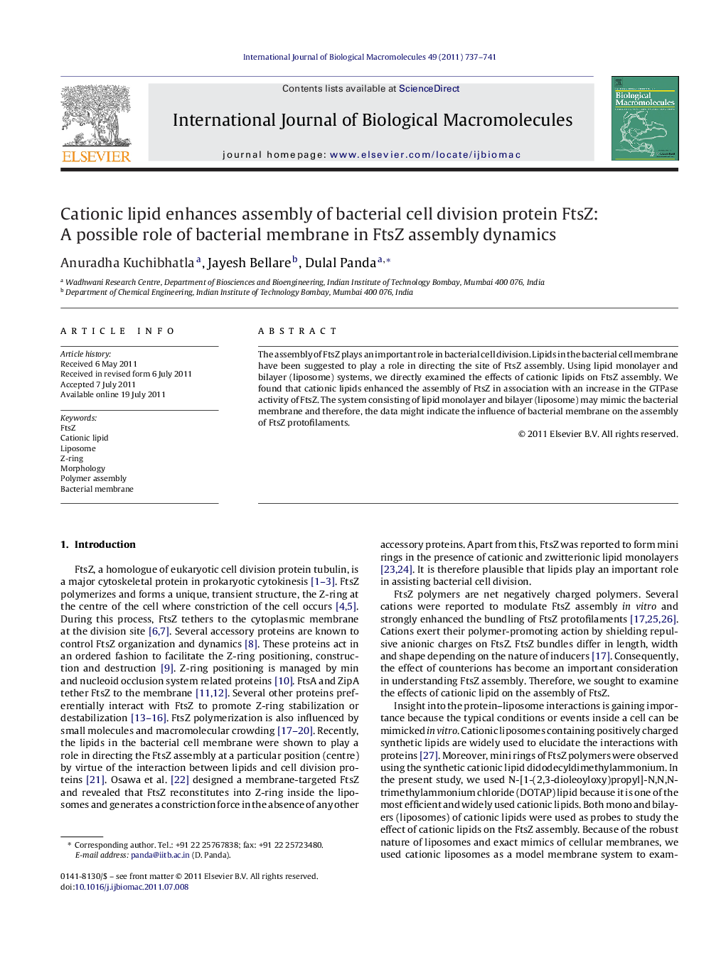 Cationic lipid enhances assembly of bacterial cell division protein FtsZ: A possible role of bacterial membrane in FtsZ assembly dynamics