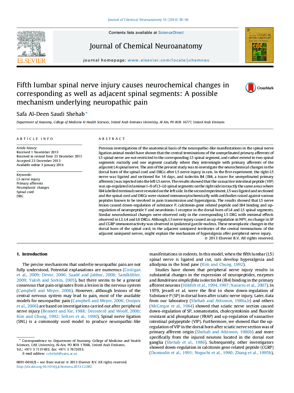 Fifth lumbar spinal nerve injury causes neurochemical changes in corresponding as well as adjacent spinal segments: A possible mechanism underlying neuropathic pain