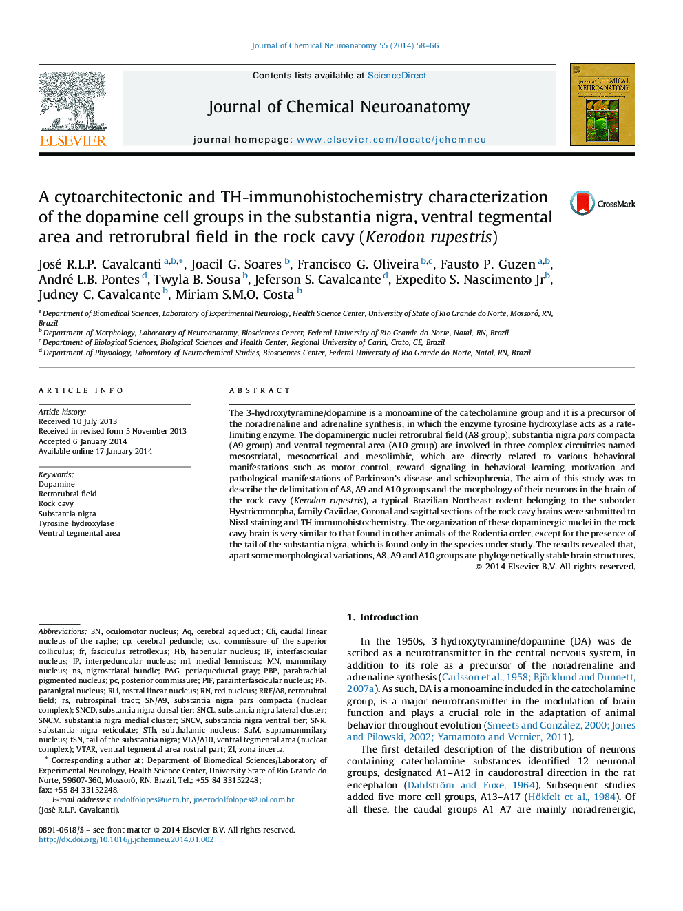 A cytoarchitectonic and TH-immunohistochemistry characterization of the dopamine cell groups in the substantia nigra, ventral tegmental area and retrorubral field in the rock cavy (Kerodon rupestris)