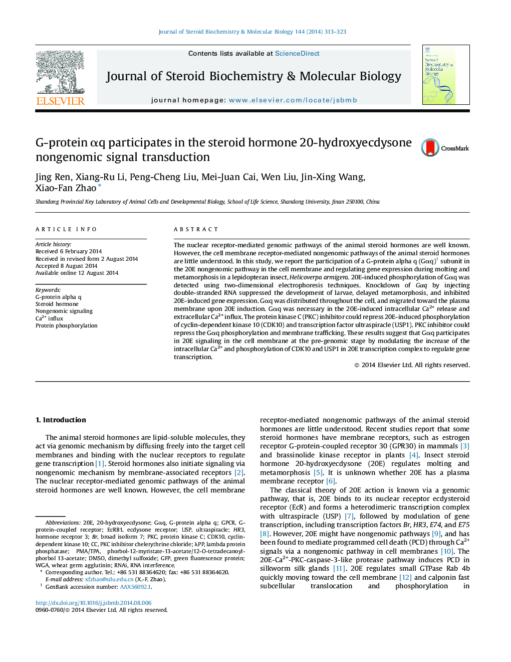 G-protein Î±q participates in the steroid hormone 20-hydroxyecdysone nongenomic signal transduction