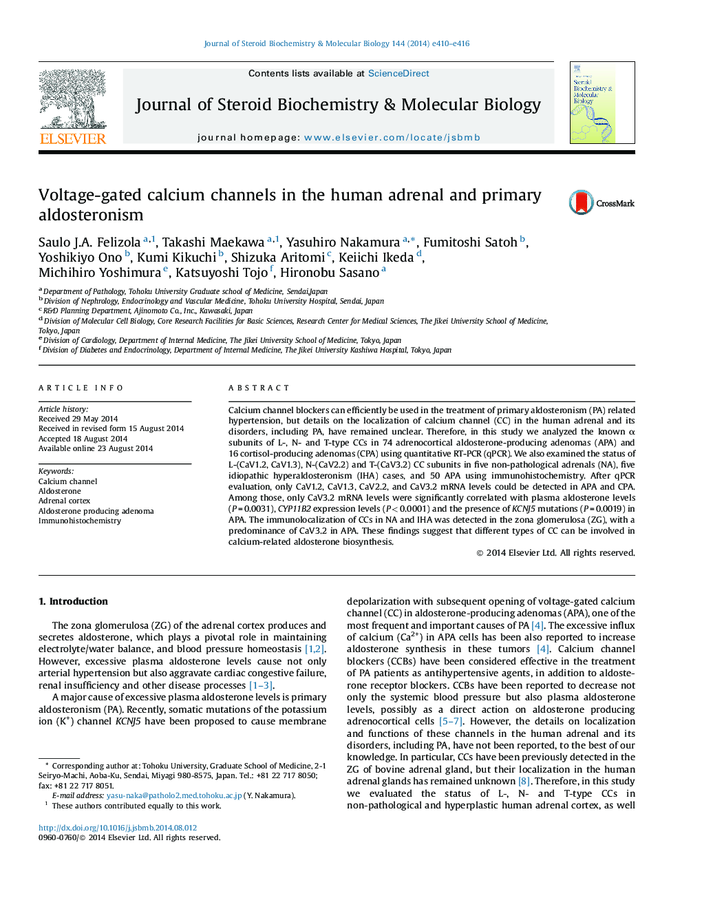 Voltage-gated calcium channels in the human adrenal and primary aldosteronism