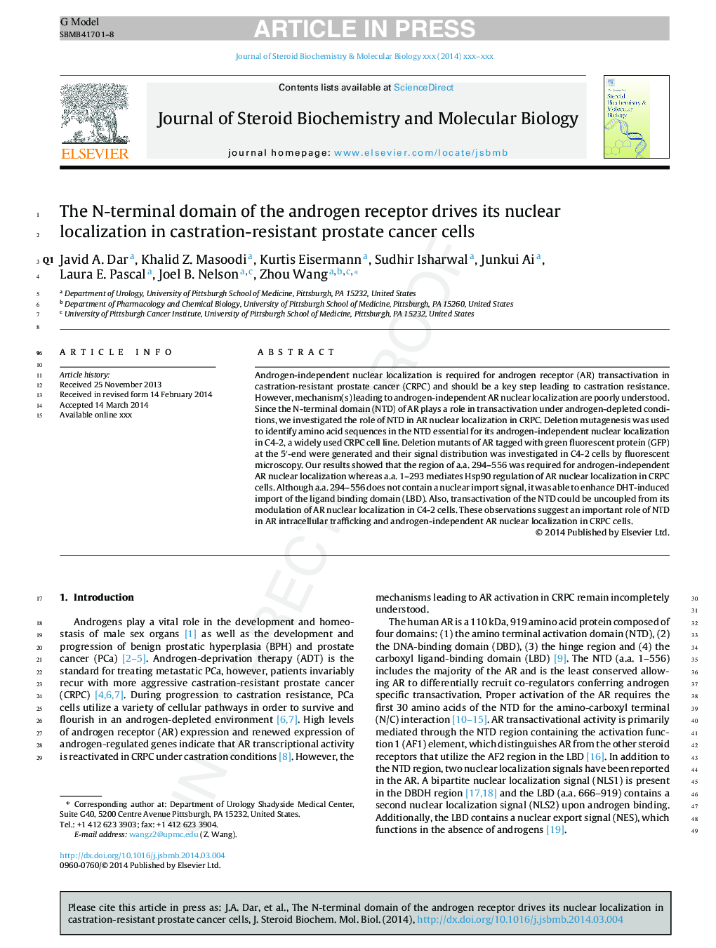 The N-terminal domain of the androgen receptor drives its nuclear localization in castration-resistant prostate cancer cells
