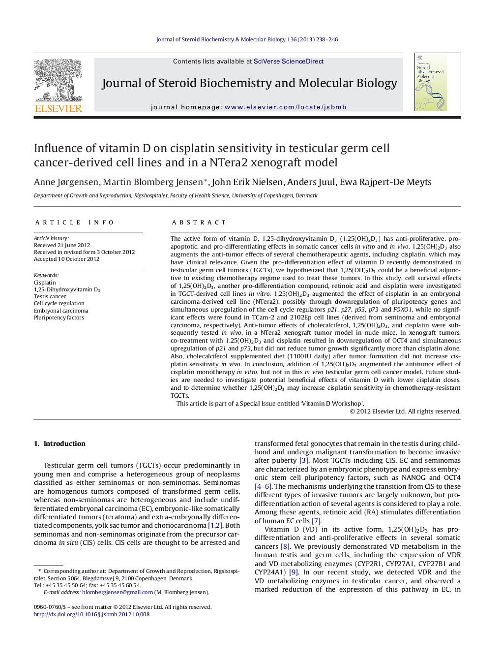 Influence of vitamin D on cisplatin sensitivity in testicular germ cell cancer-derived cell lines and in a NTera2 xenograft model