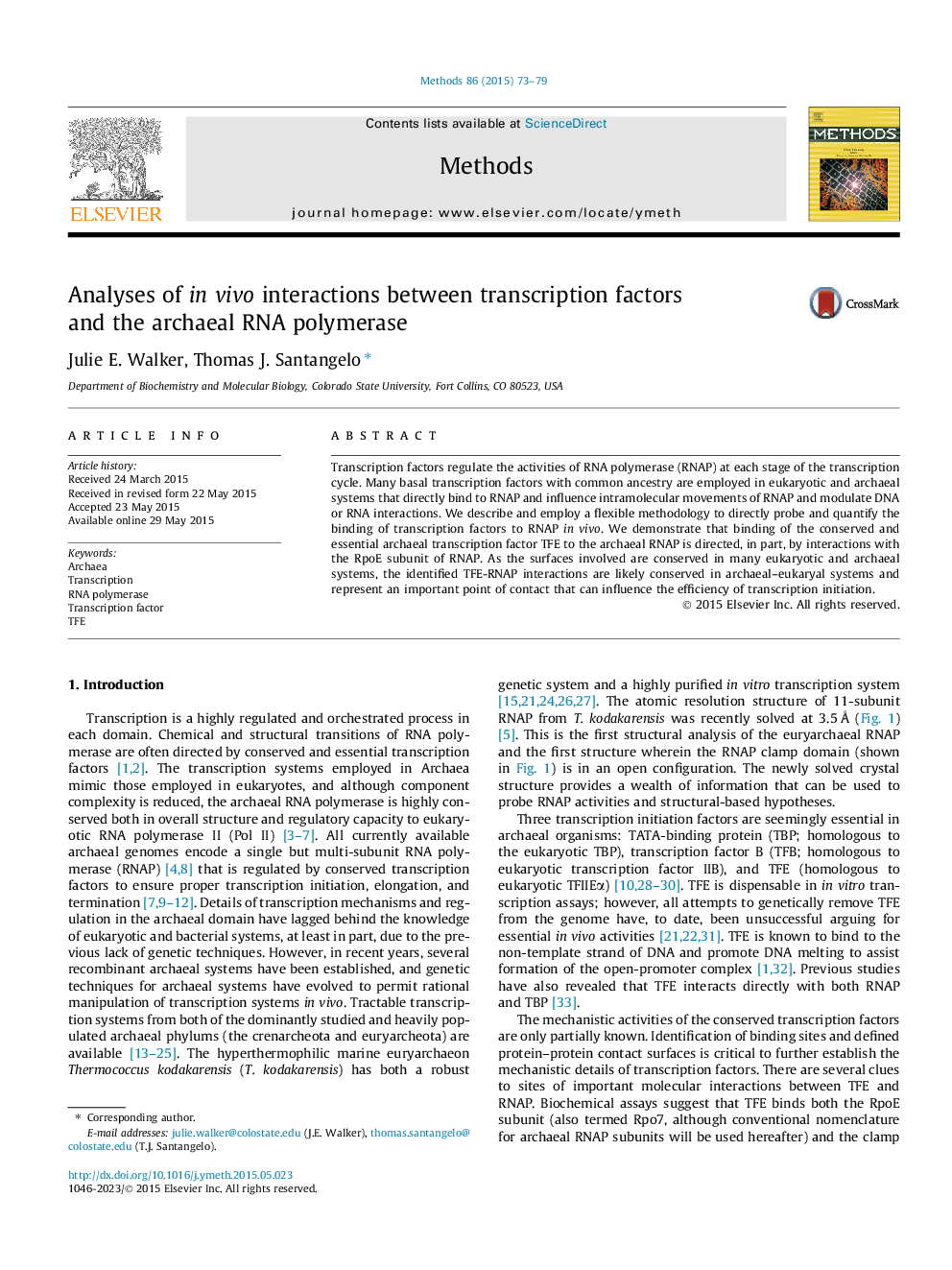 Analyses of in vivo interactions between transcription factors and the archaeal RNA polymerase