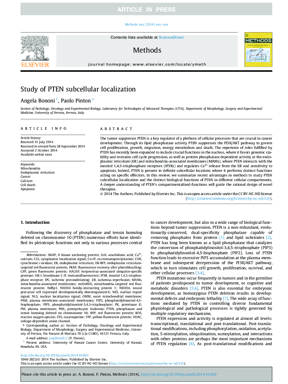 Study of PTEN subcellular localization