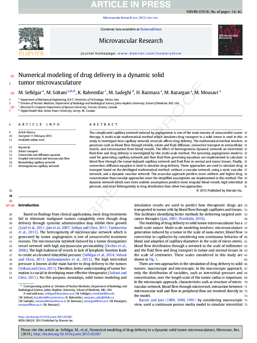 Numerical modeling of drug delivery in a dynamic solid tumor microvasculature