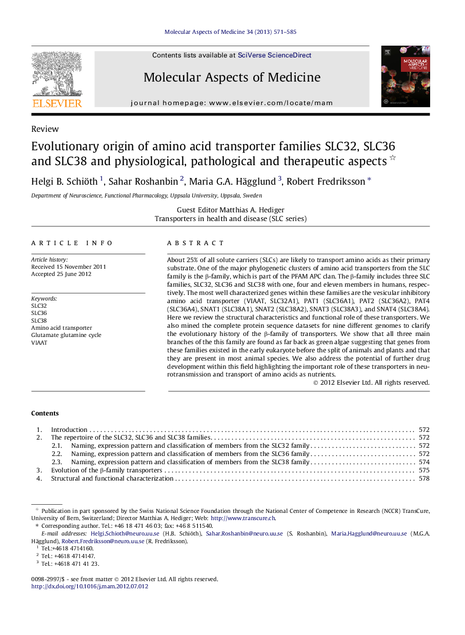 Evolutionary origin of amino acid transporter families SLC32, SLC36 and SLC38 and physiological, pathological and therapeutic aspects