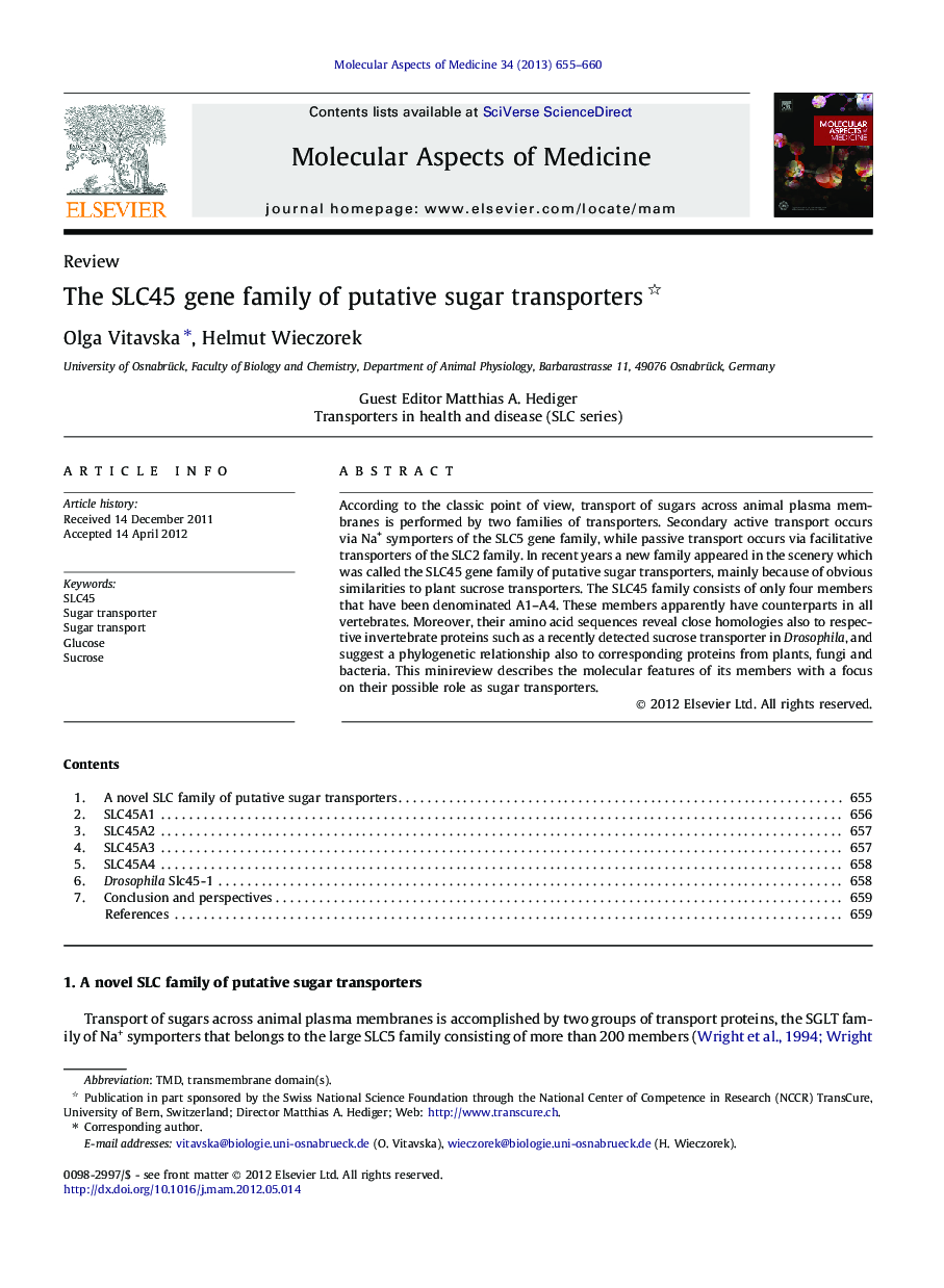 The SLC45 gene family of putative sugar transporters