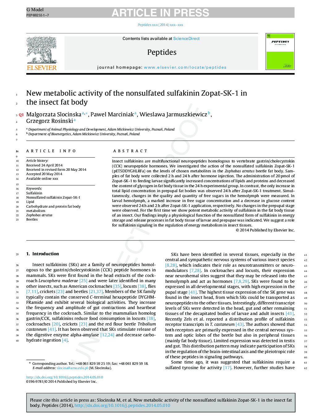 New metabolic activity of the nonsulfated sulfakinin Zopat-SK-1 in the insect fat body