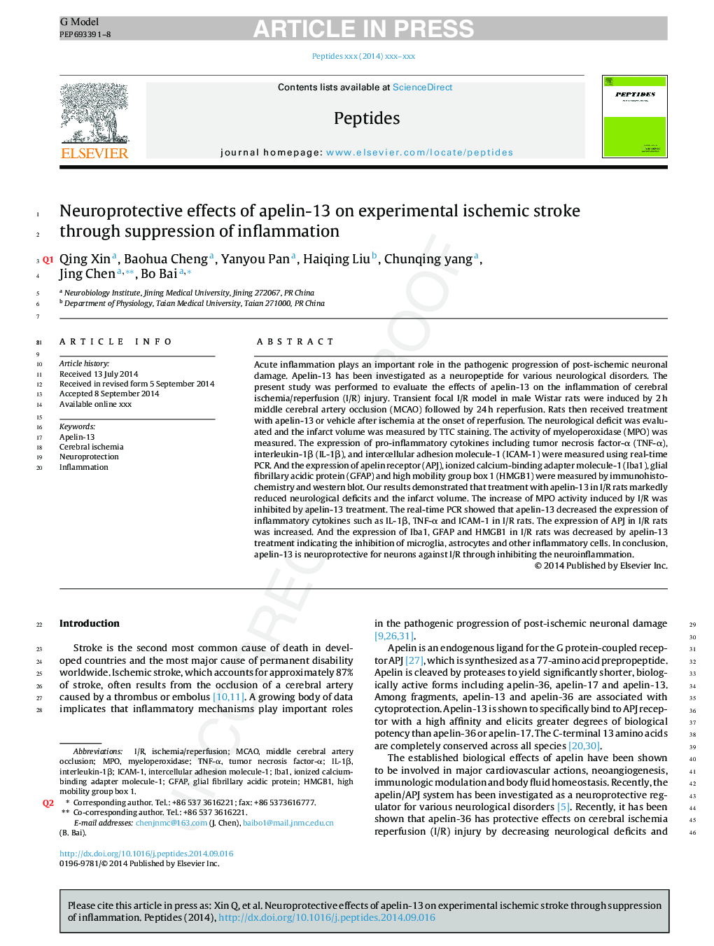 Neuroprotective effects of apelin-13 on experimental ischemic stroke through suppression of inflammation