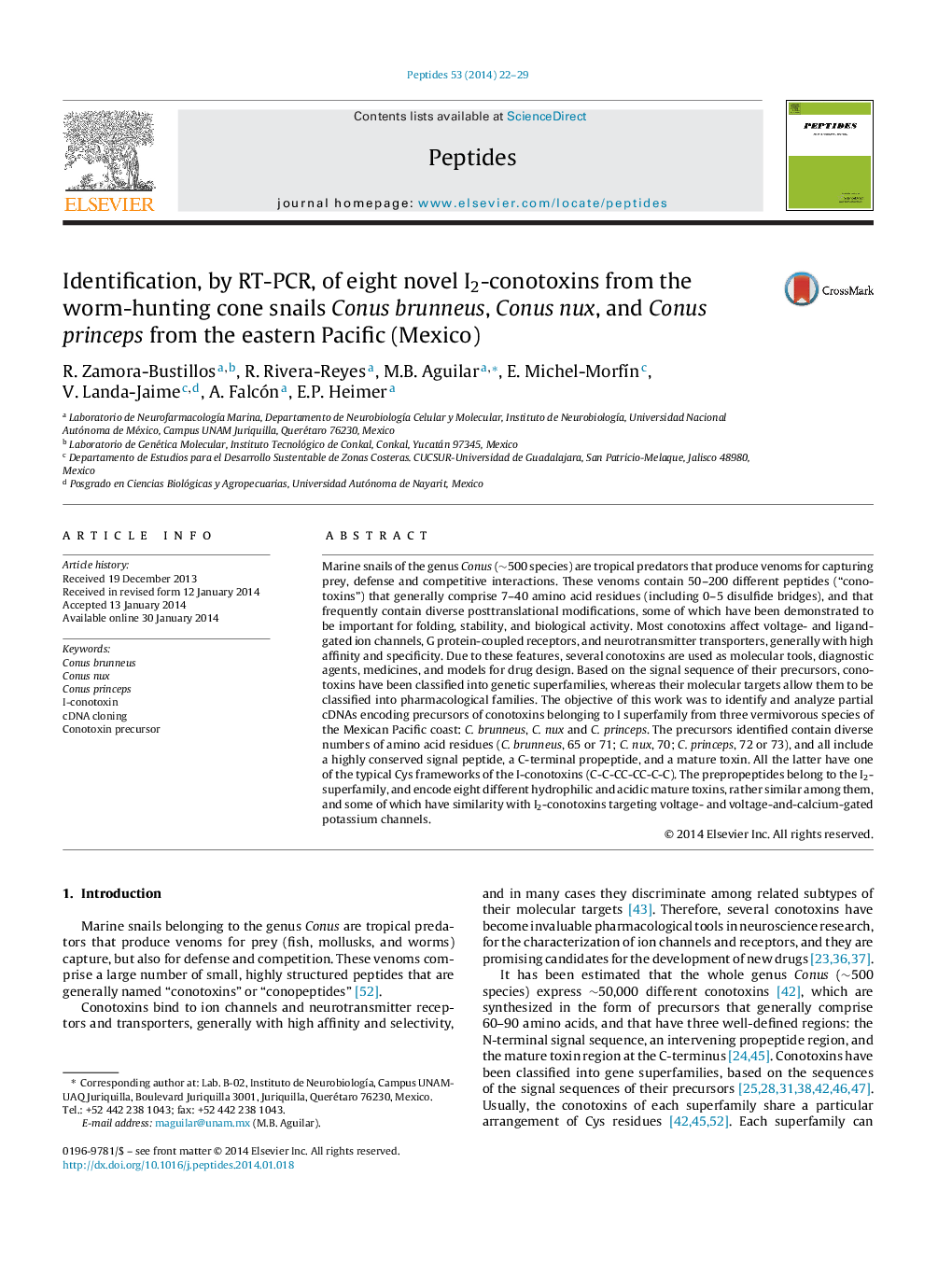 Identification, by RT-PCR, of eight novel I2-conotoxins from the worm-hunting cone snails Conus brunneus, Conus nux, and Conus princeps from the eastern Pacific (Mexico)