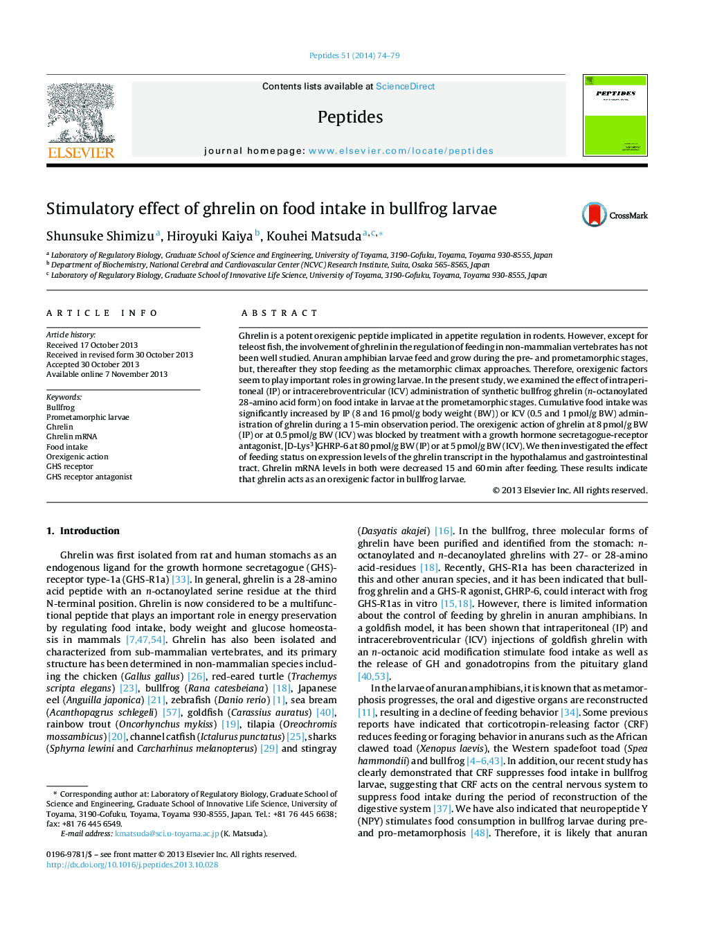 Stimulatory effect of ghrelin on food intake in bullfrog larvae
