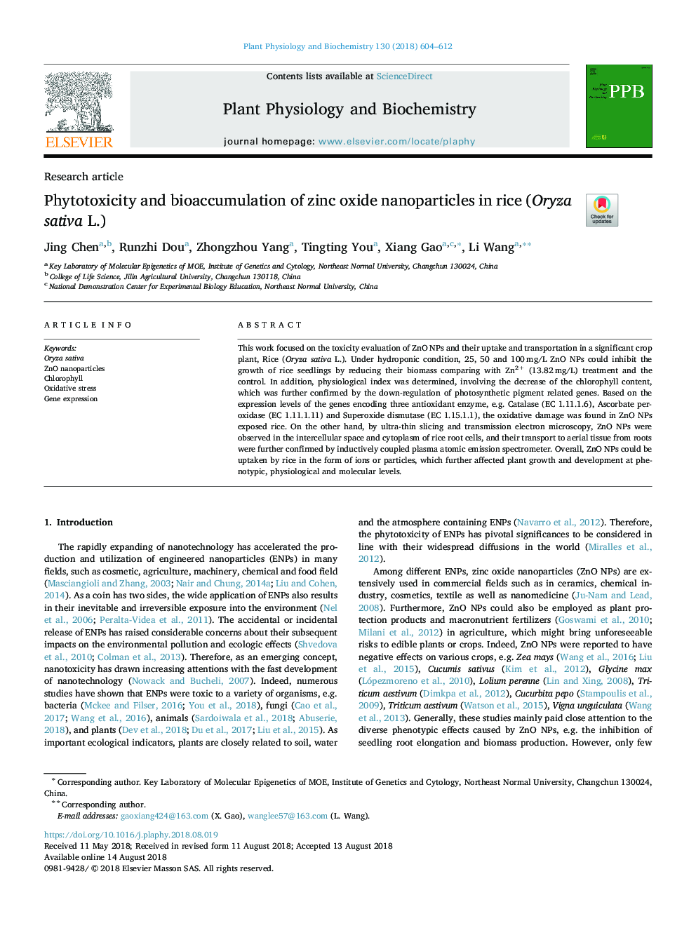 Phytotoxicity and bioaccumulation of zinc oxide nanoparticles in rice (Oryza sativa L.)