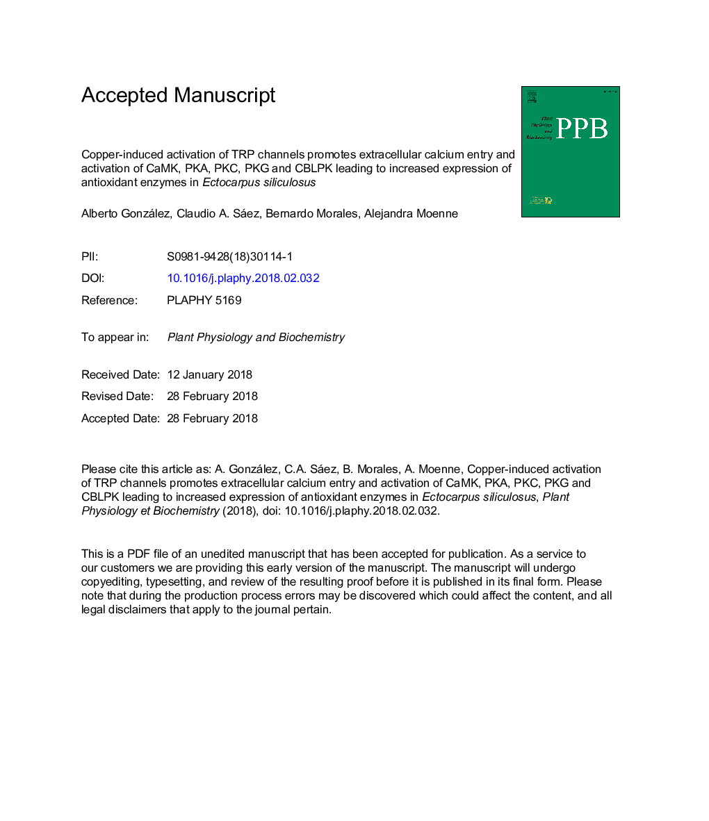 Copper-induced activation of TRP channels promotes extracellular calcium entry and activation of CaMK, PKA, PKC, PKG and CBLPK leading to increased expression of antioxidant enzymes in Ectocarpus siliculosus