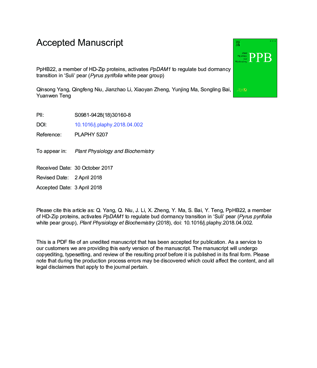 PpHB22, a member of HD-Zip proteins, activates PpDAM1 to regulate bud dormancy transition in 'Suli' pear (Pyrus pyrifolia White Pear Group)