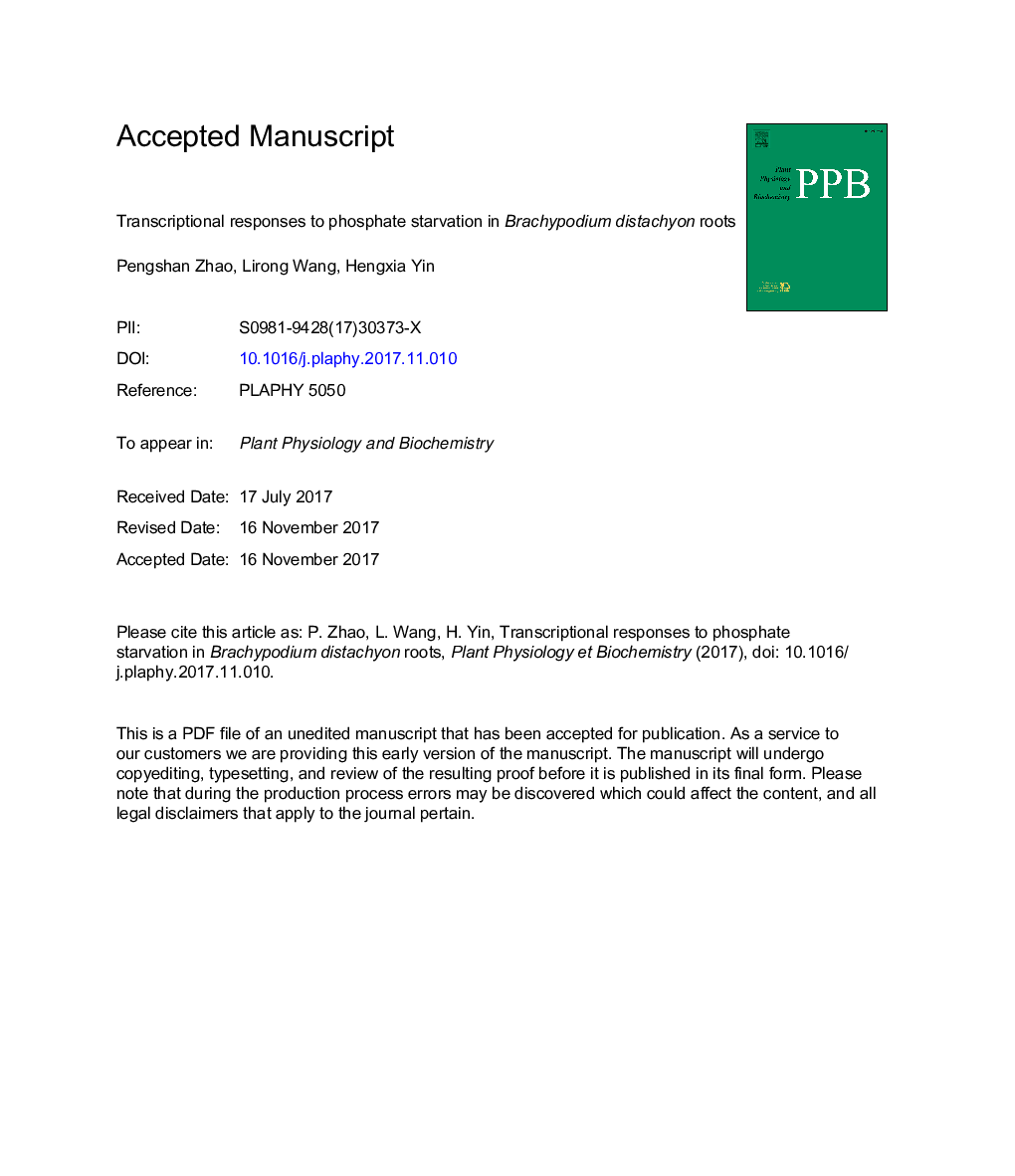 Transcriptional responses to phosphate starvation in Brachypodium distachyon roots